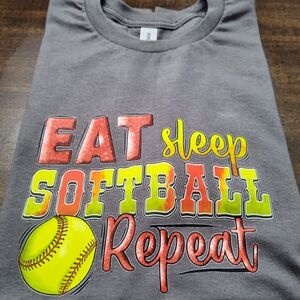 Gray Softball Graphic T-Shirt